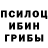 Галлюциногенные грибы Psilocybine cubensis Saule Kanapyanova