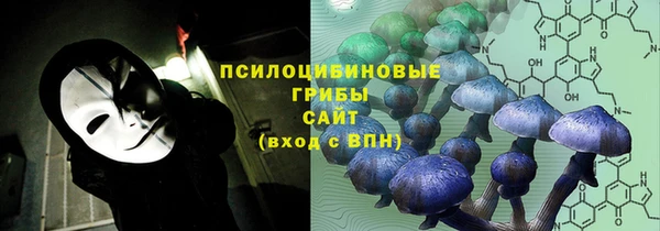 ECSTASY Алзамай