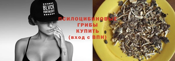 ECSTASY Алзамай