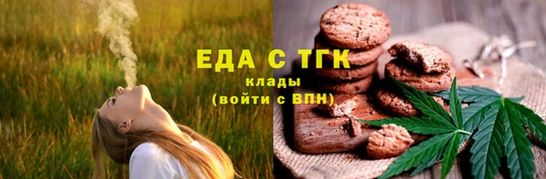 ECSTASY Алзамай